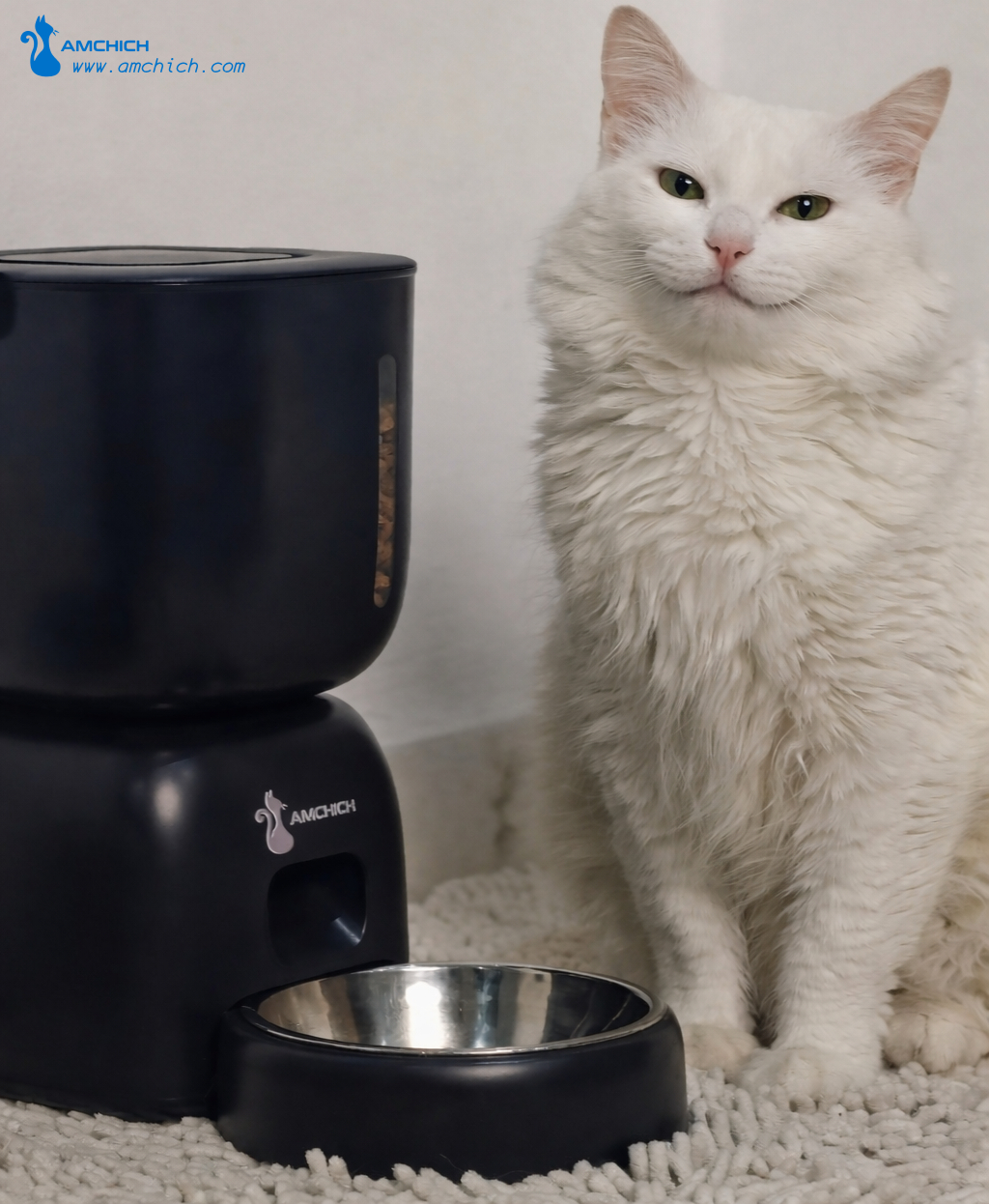 Happy cat using Amchich feeder
